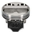 Wiseco AC HON B 4v DOME +8.25 STRUT 8100XX Piston Shelf Stock Kit Online Hot Sale